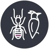 icon pest resistant siding